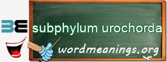 WordMeaning blackboard for subphylum urochorda